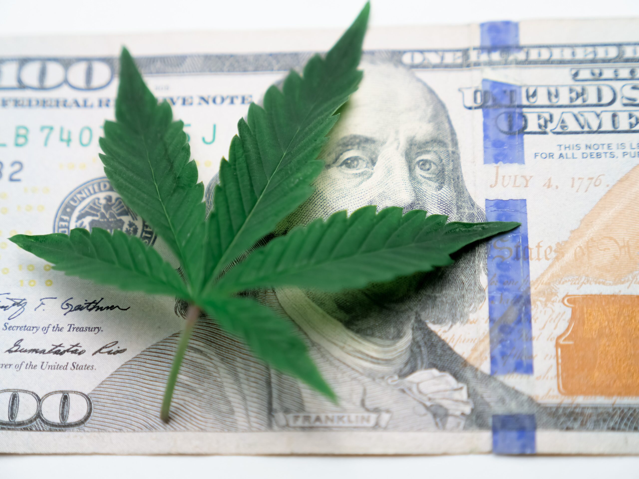 American Cannabis Investors