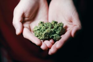 investing in cannabis ETFs