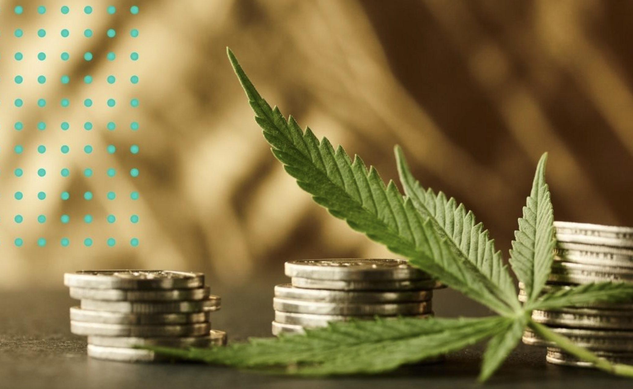 Calculating The Cost of Starting A Cannabis Dispensary Business